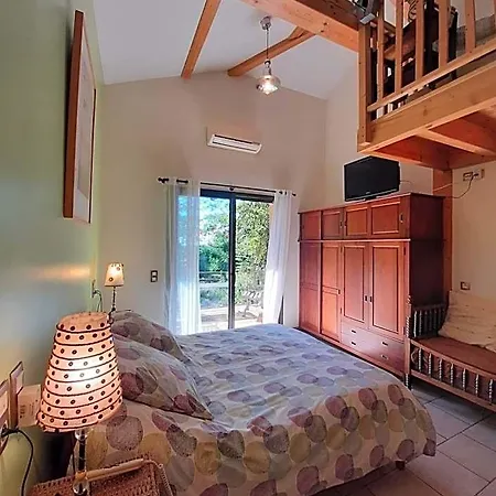 Bed & Breakfast Le Grand Noyer Ambronay